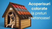 Acoperisuri colorate la preturi prietenoase! Acoperisuri colorate la preturi prietenoase!